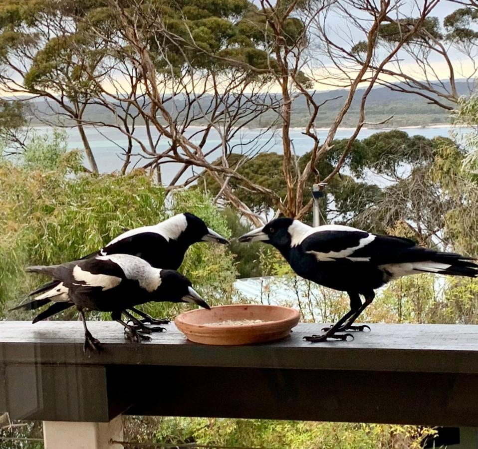 The River Suites, Kangaroo Island American River Exteriör bild