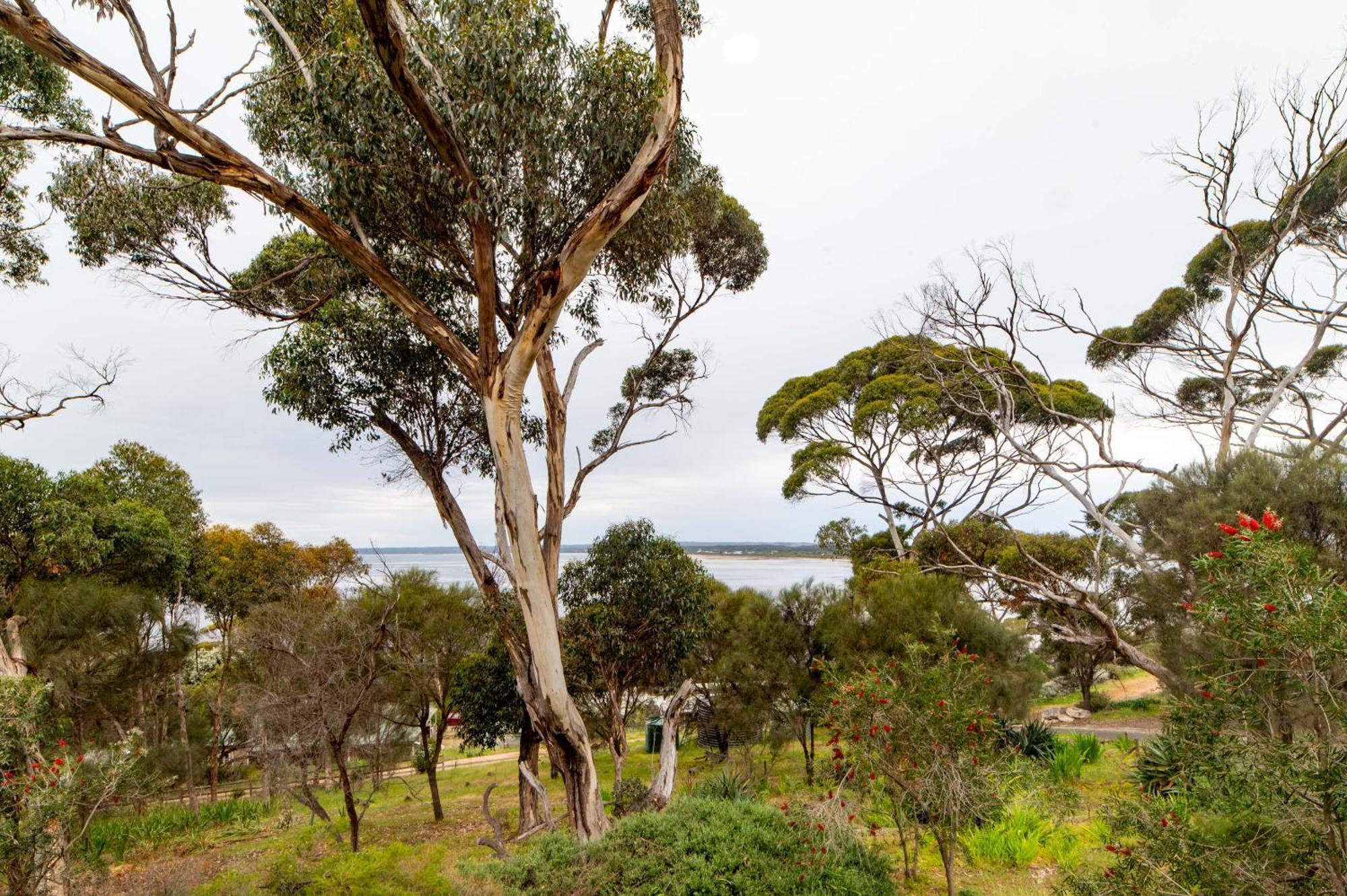 The River Suites, Kangaroo Island American River Exteriör bild